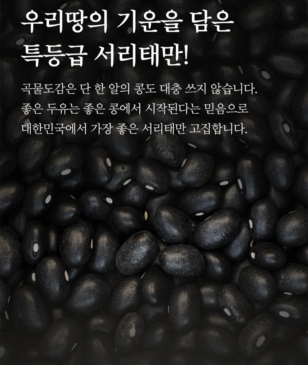 팔 촵프팅 13