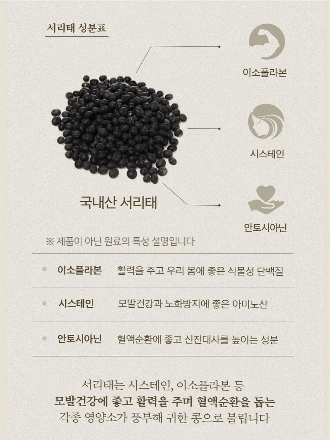 말랑이 9