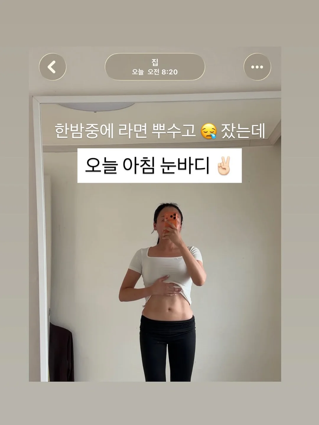 승진화분 1