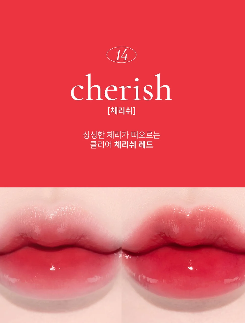96시간 숙성 병아리콩 14