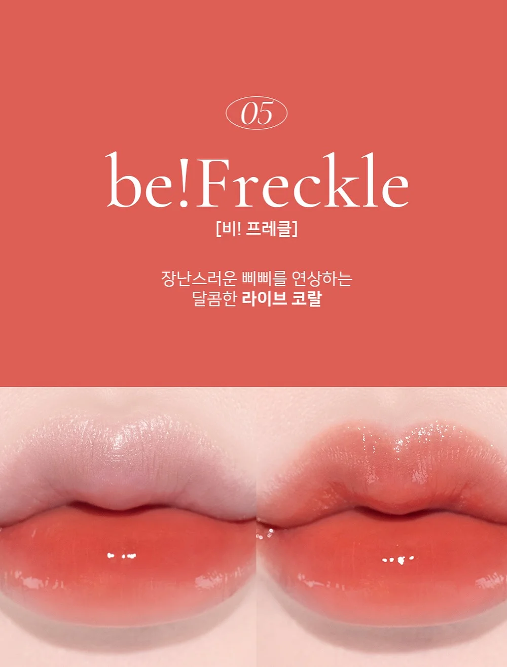 96시간 숙성 병아리콩 18