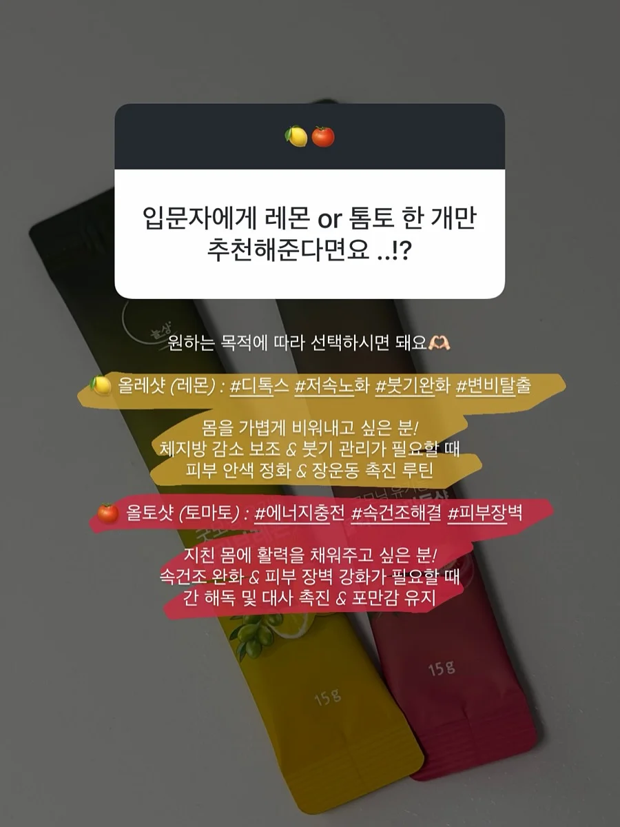 바캉스 가방 10