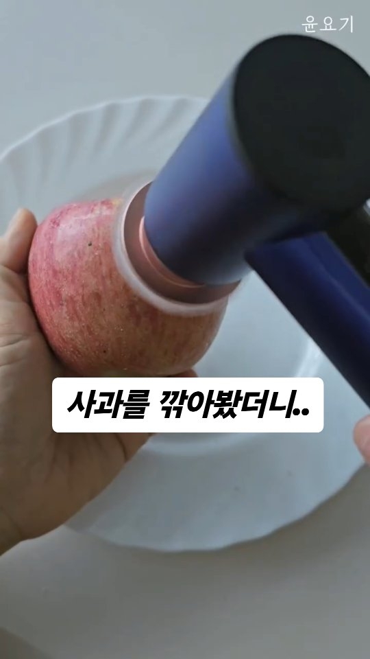 백조기