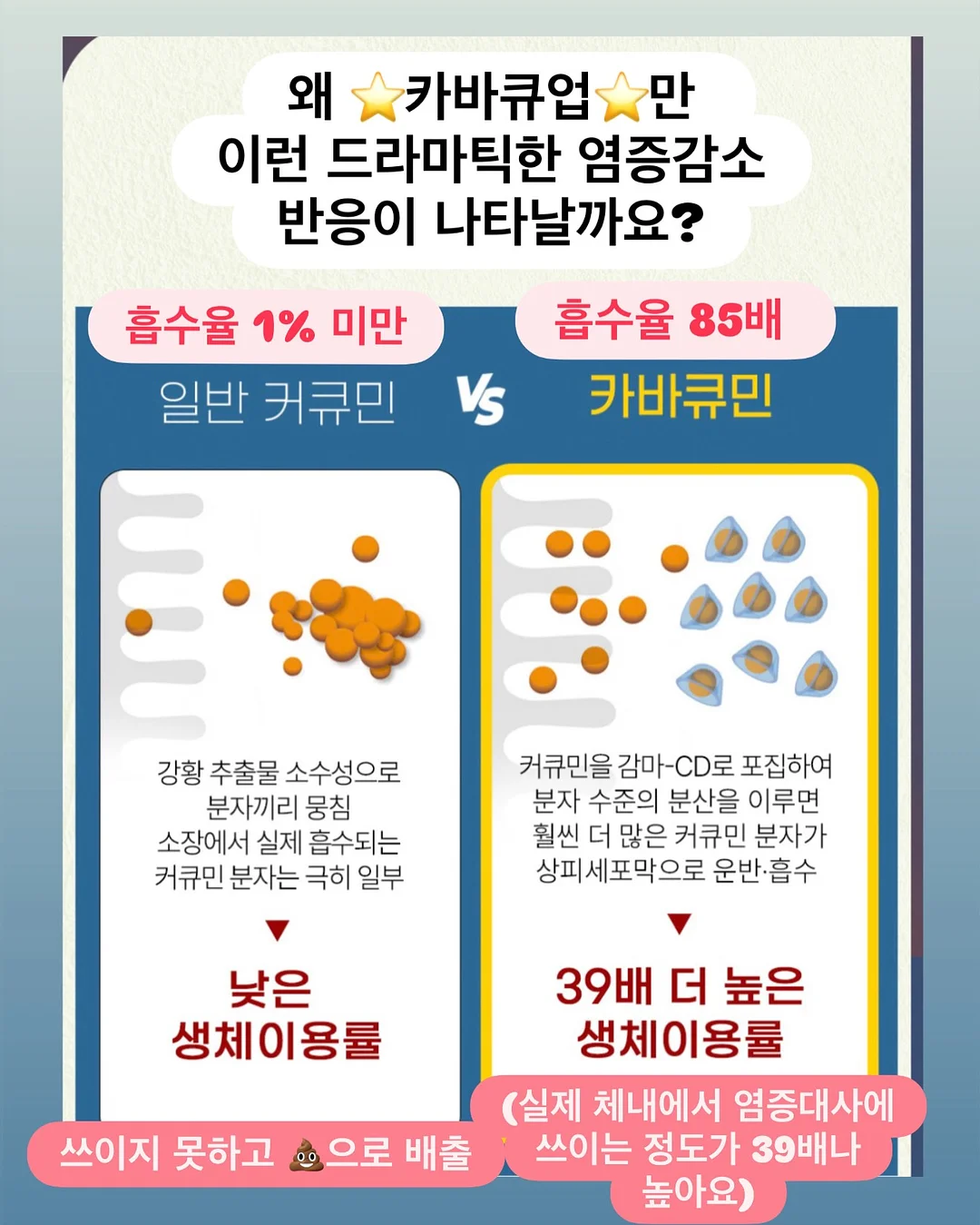 뷰니스 한끼쉐이크 7