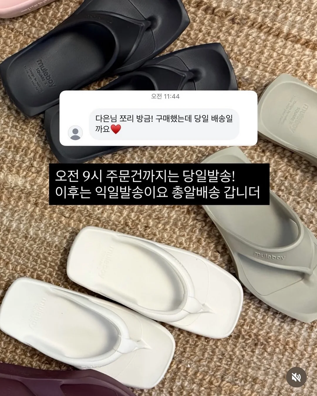 시스루 텐셀셔츠 6
