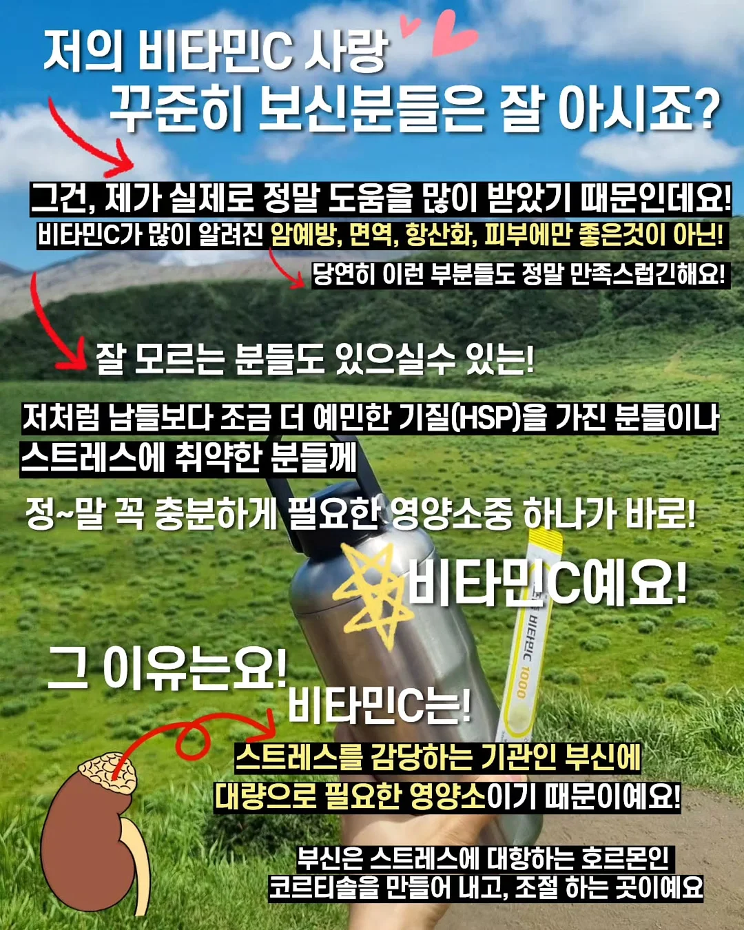플럼프봄 여름신상 2