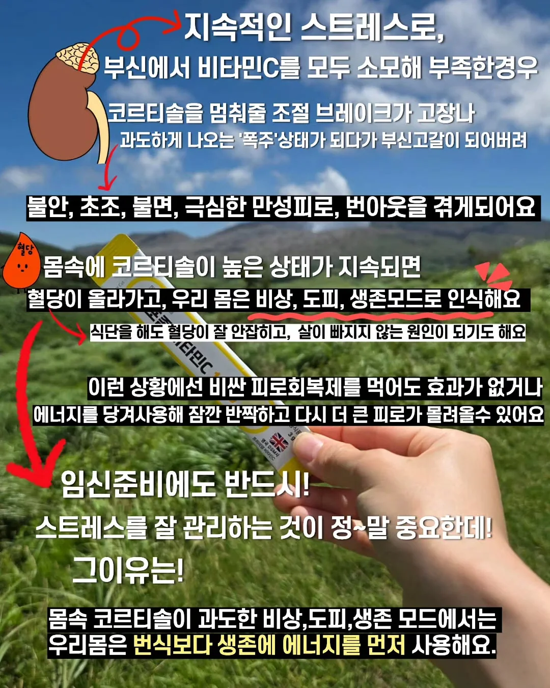 플럼프봄 여름신상 3