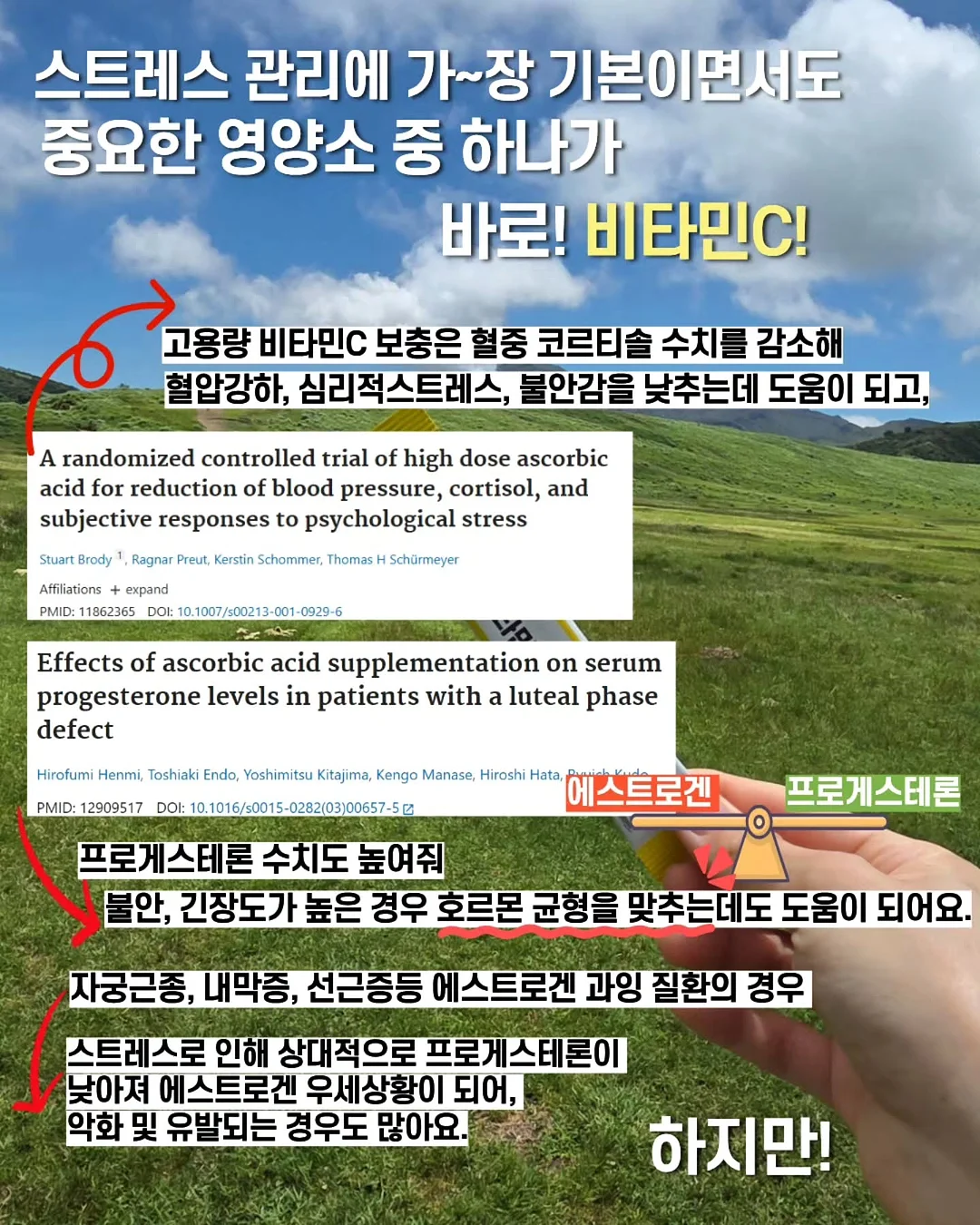플럼프봄 여름신상 4