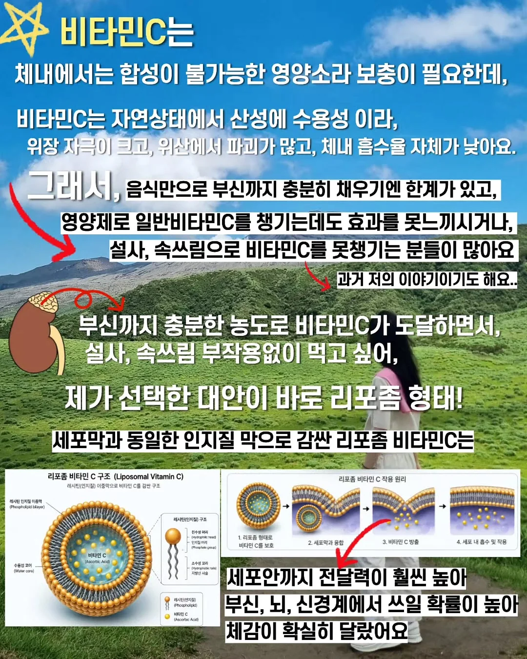 플럼프봄 여름신상 5