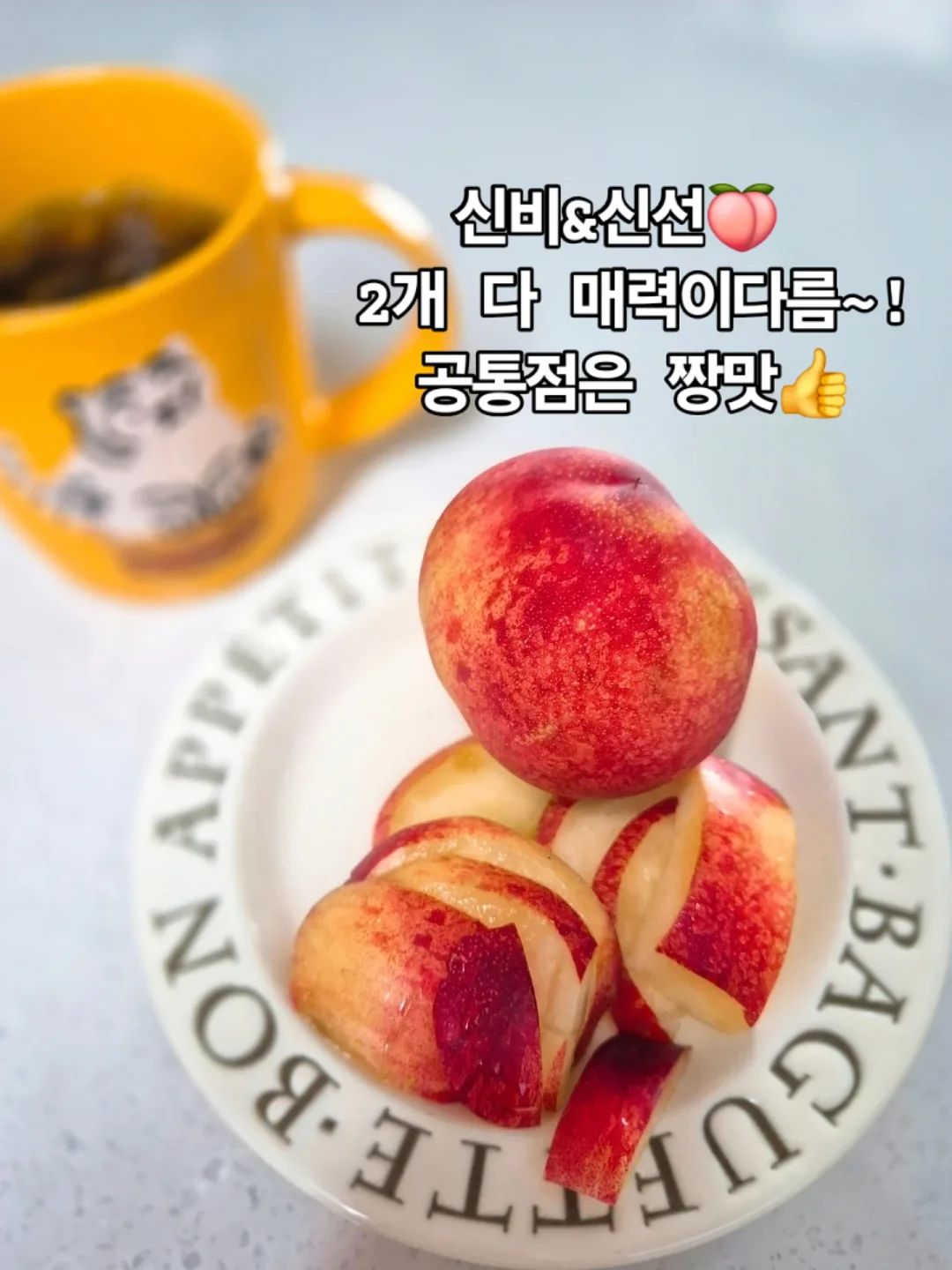 바이브 코딩 핵심 치트키 5