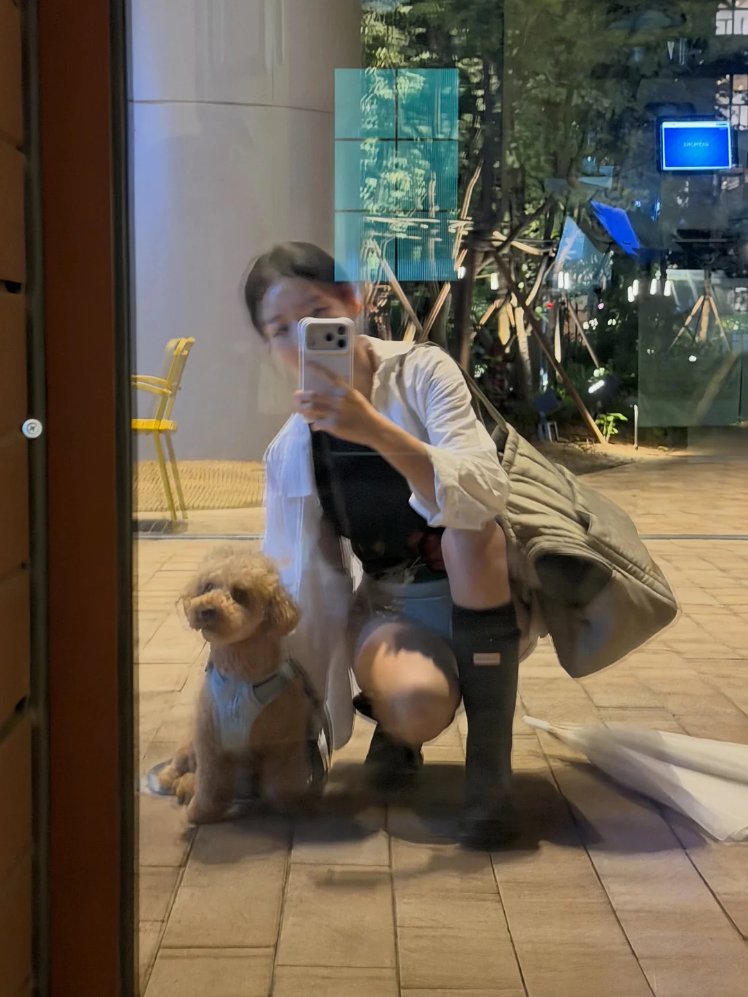 오늘의단어 16