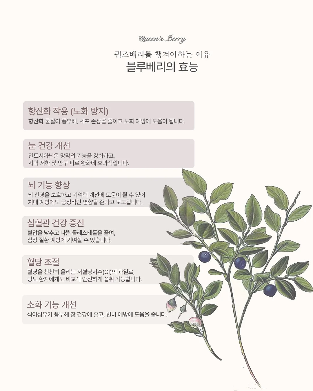 에끌라뒤땅 3