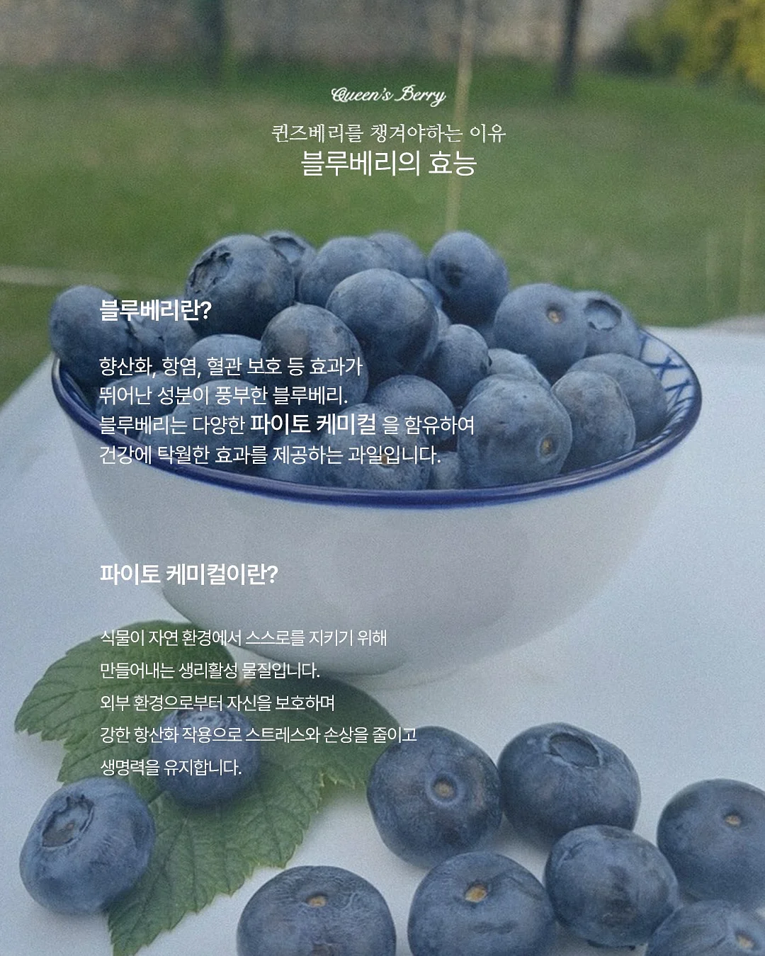 에끌라뒤땅 4