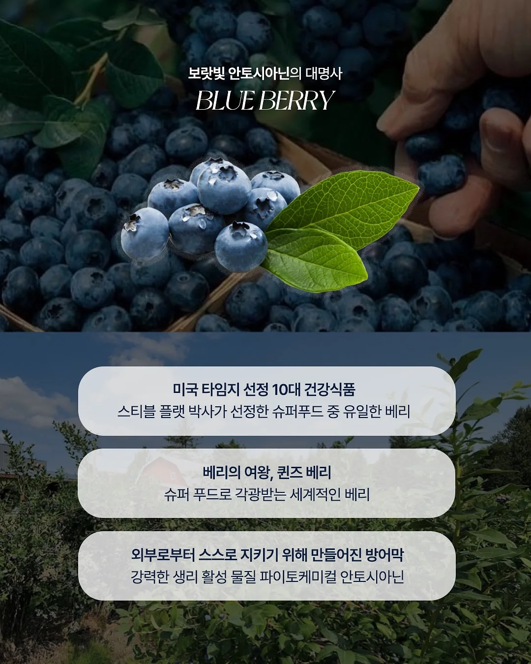 에끌라뒤땅 6