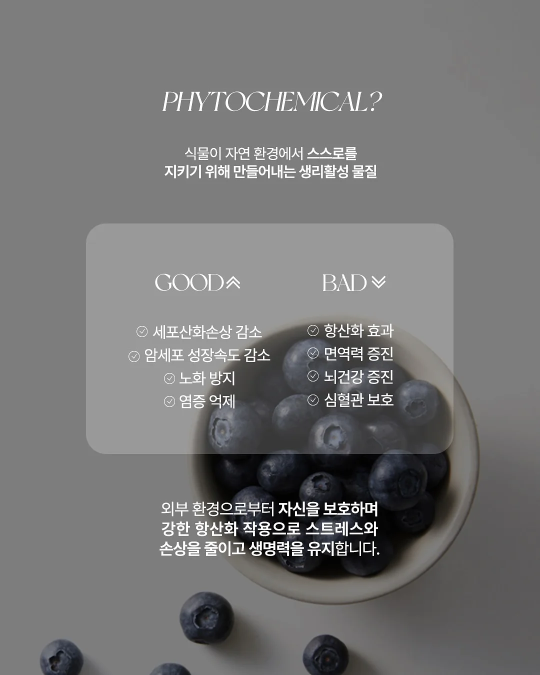 에끌라뒤땅 7