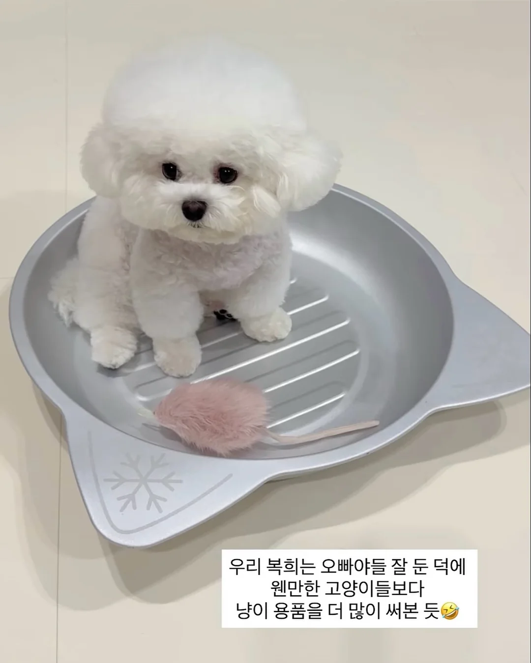 흰 양말 옷 신발 세제 8