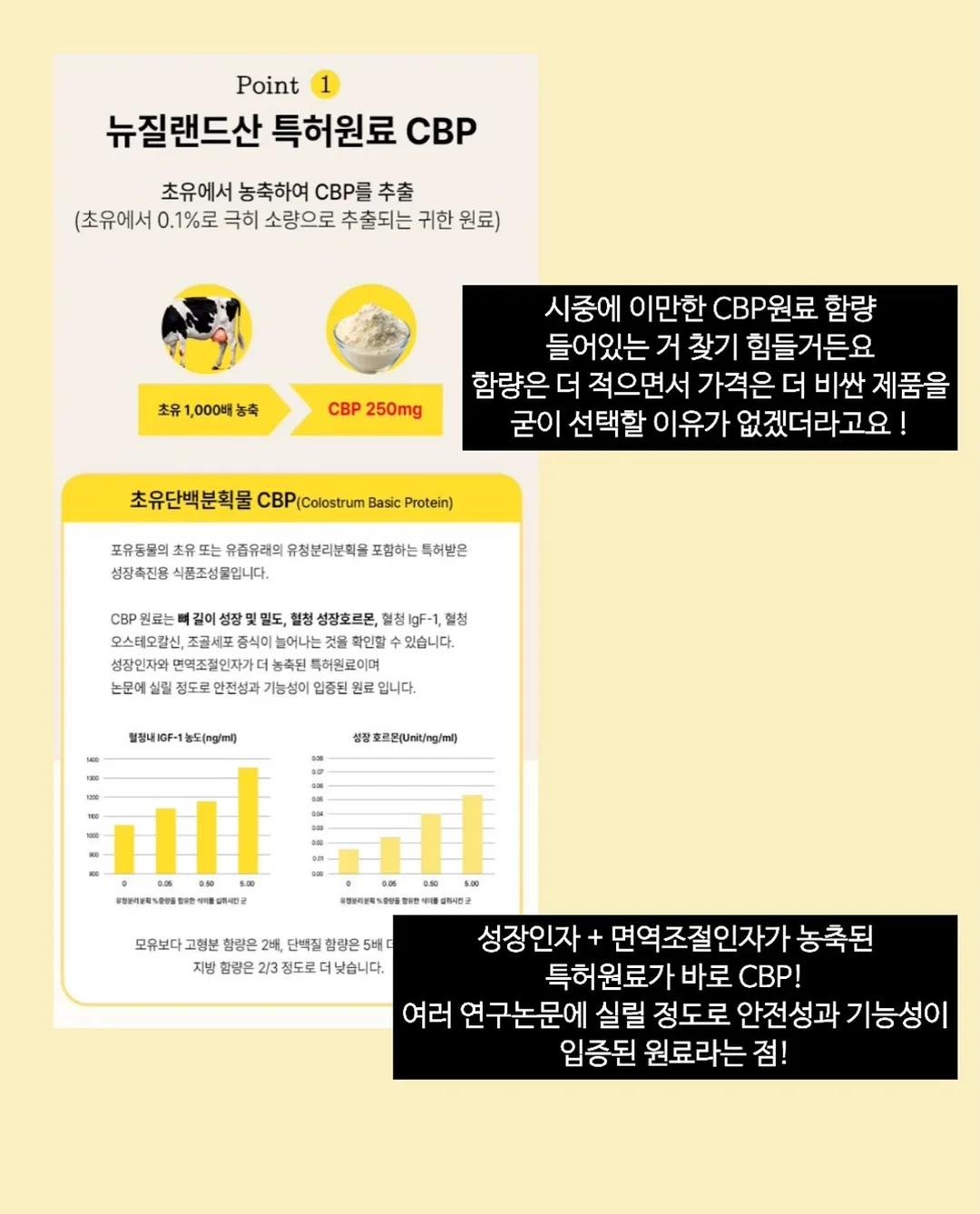 페이퍼 니트 12