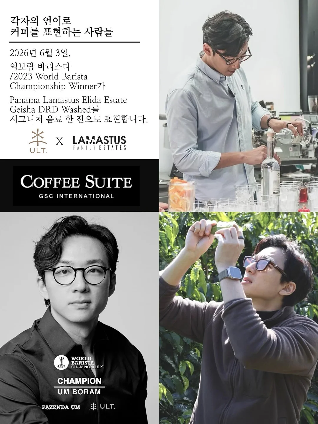 옐로우티 2