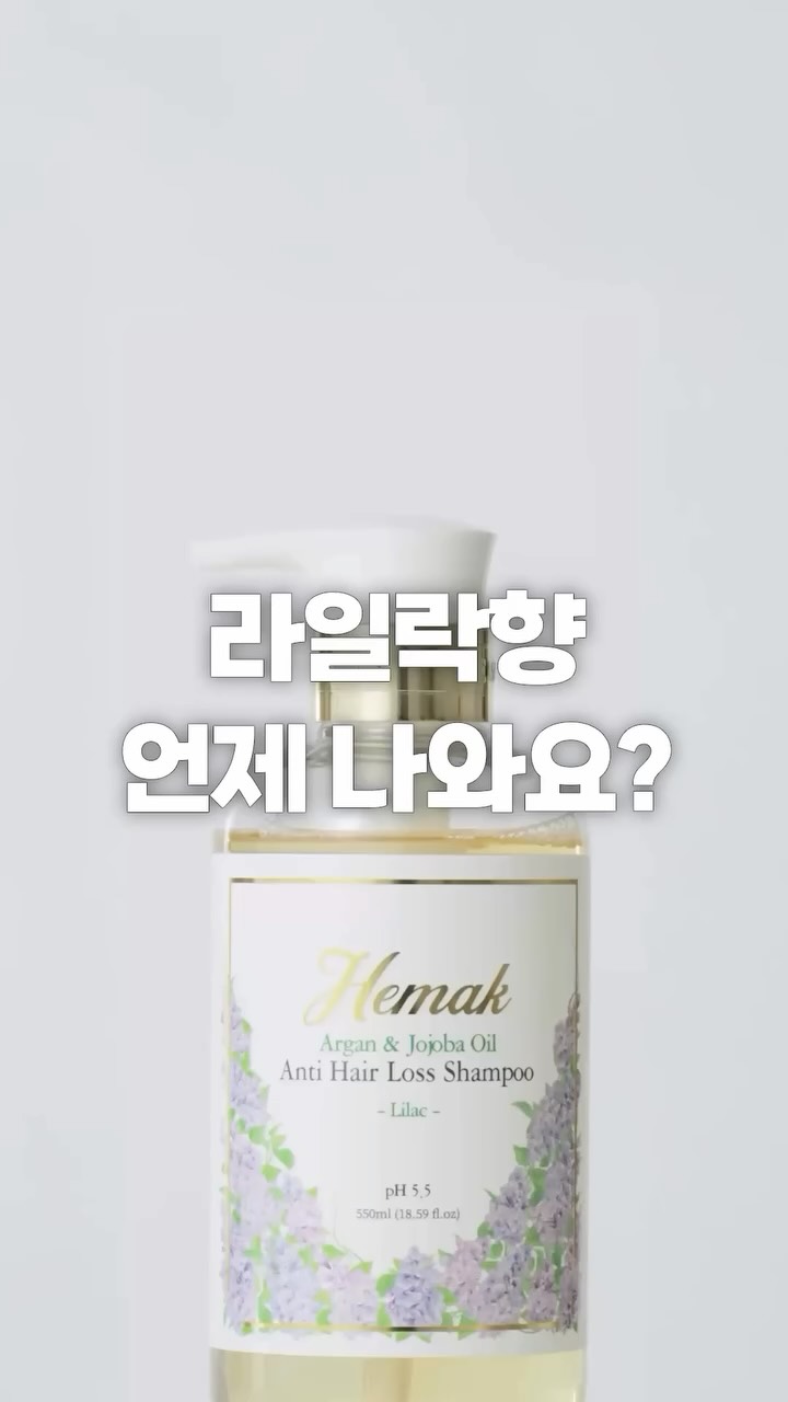 클레망 PADRE 모델
