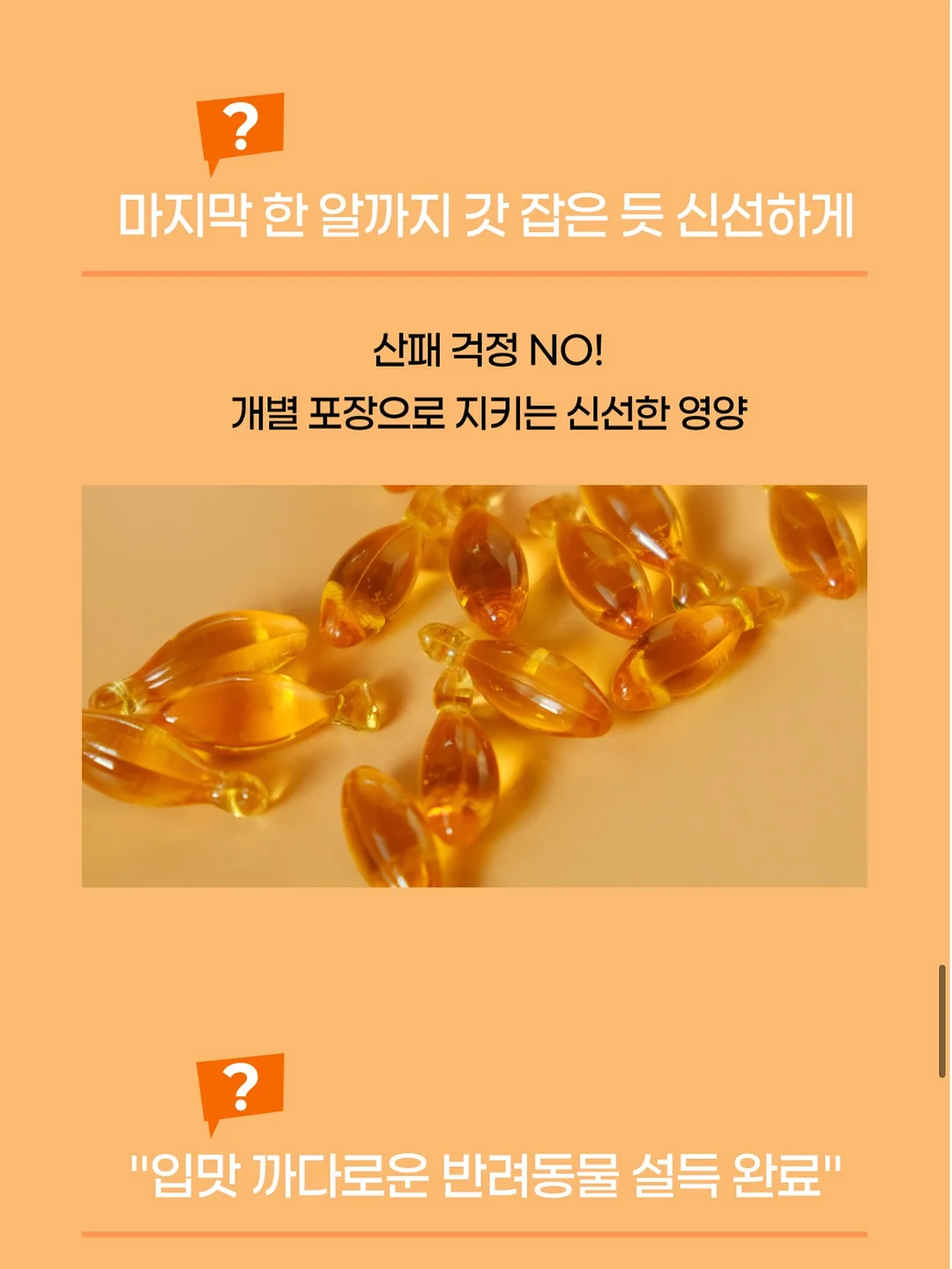 아리향에프엔비 아롱사태 수육 13