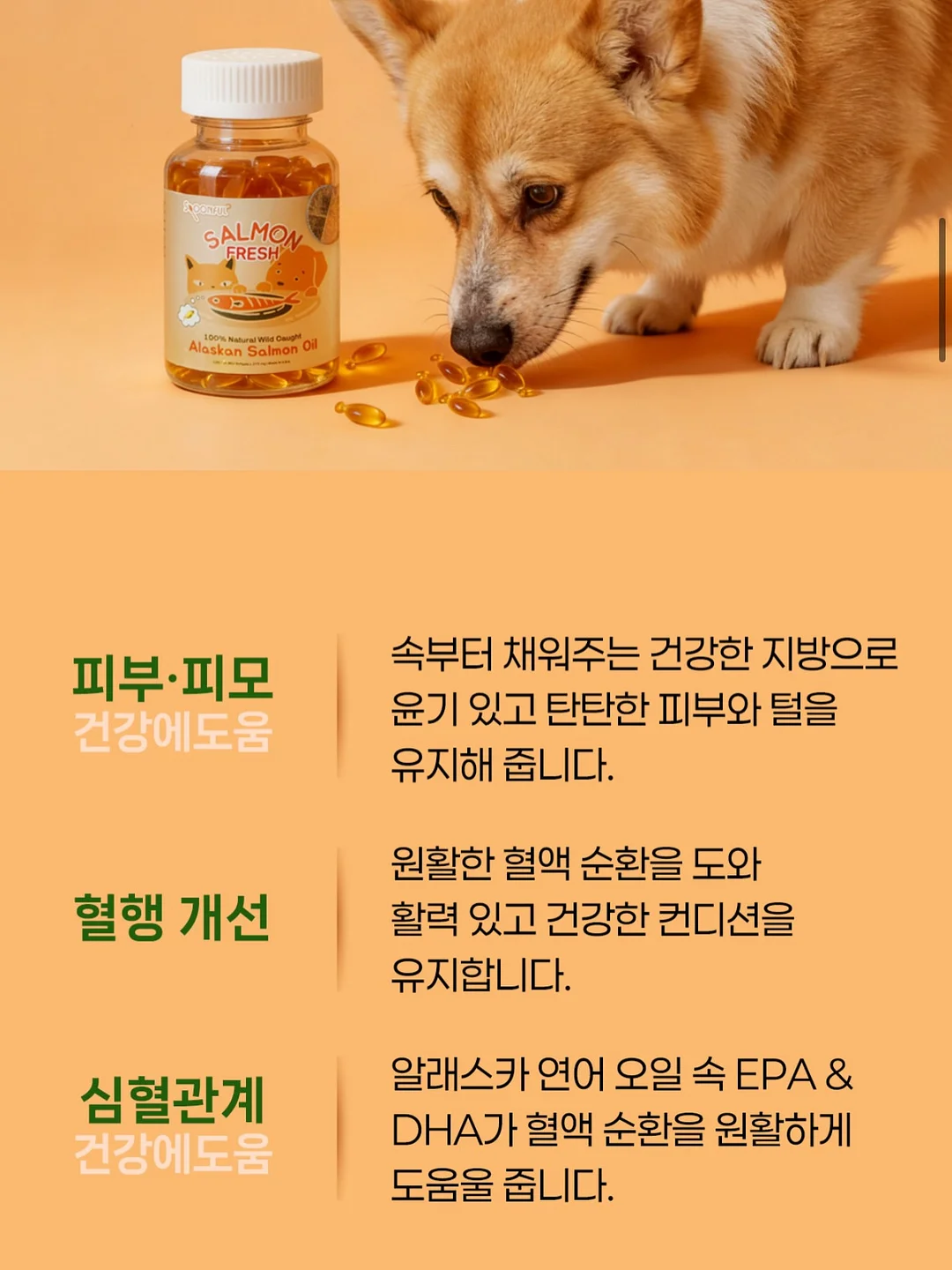 아리향에프엔비 아롱사태 수육 4