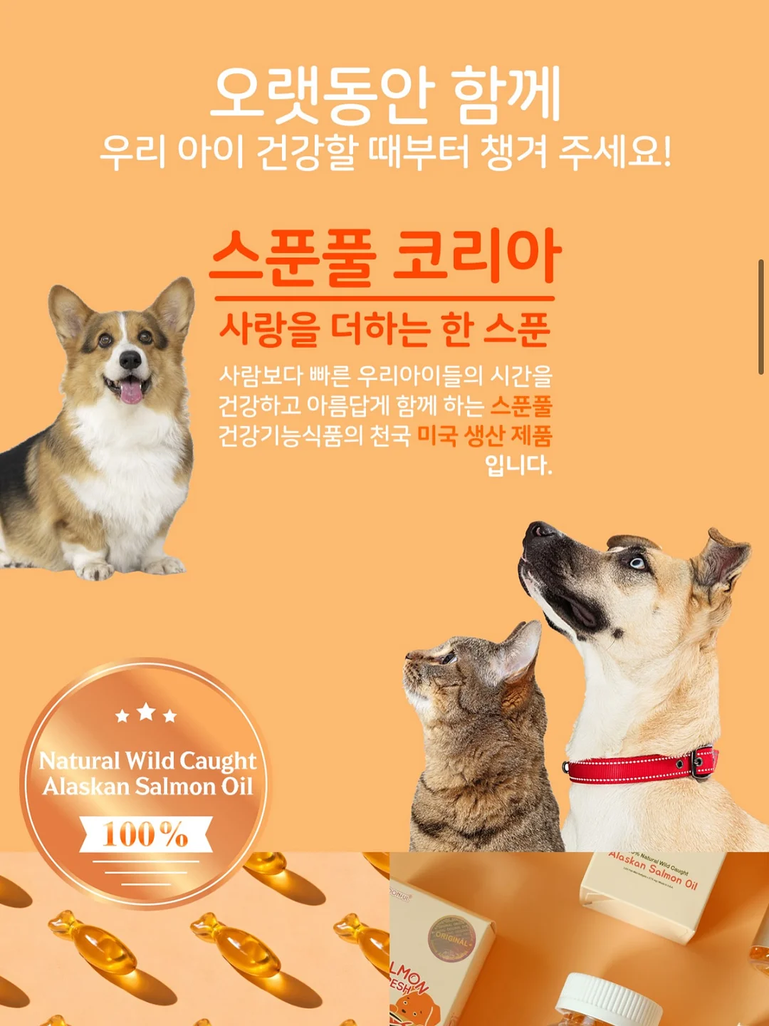 아리향에프엔비 아롱사태 수육 6