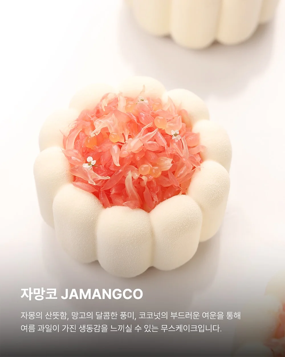 카드 동전 지갑 미니 파우치 11
