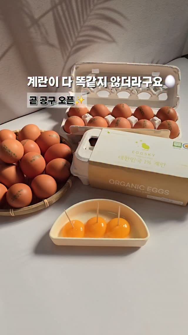 니체의 초월자