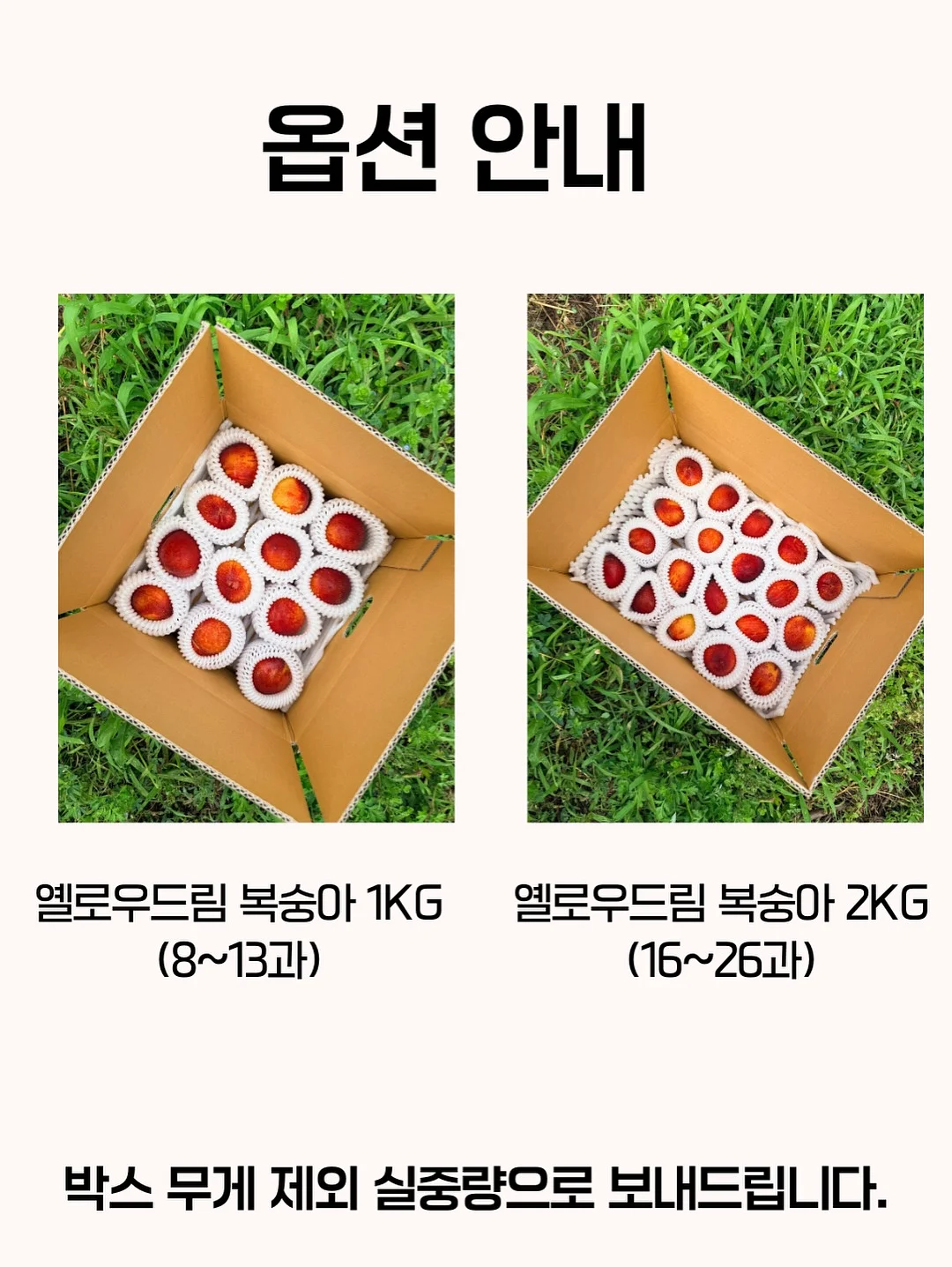 베몽테스 하이신 수분크림 7