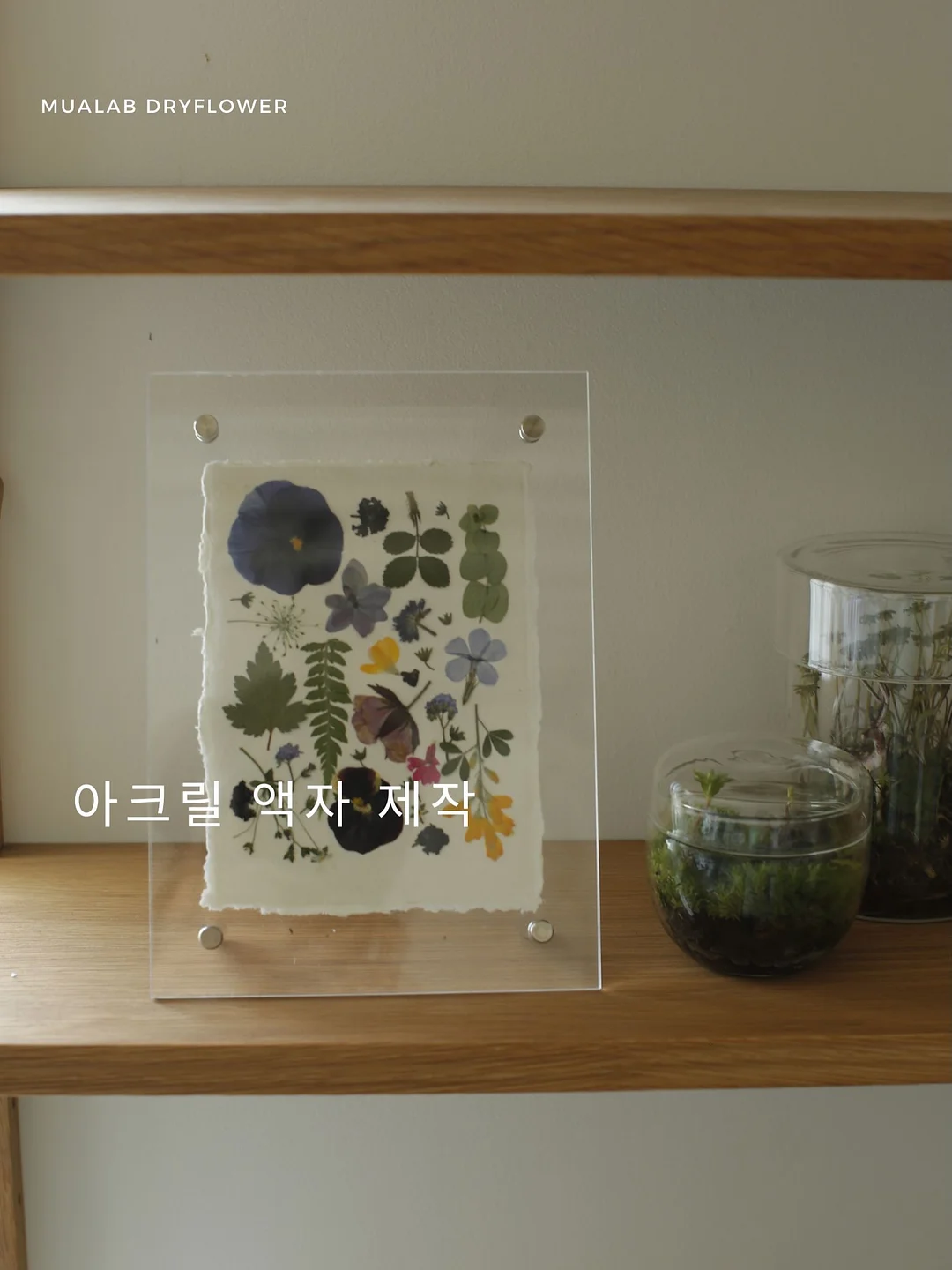 초대형 접이식 우산 11