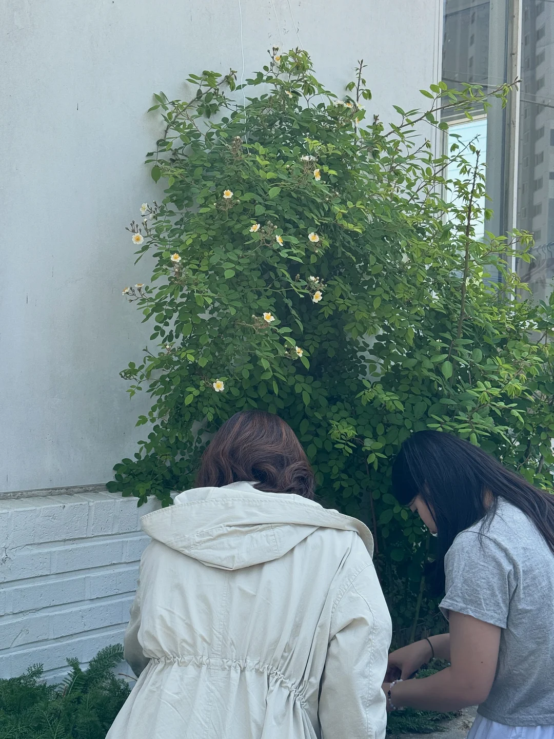 초대형 접이식 우산 3