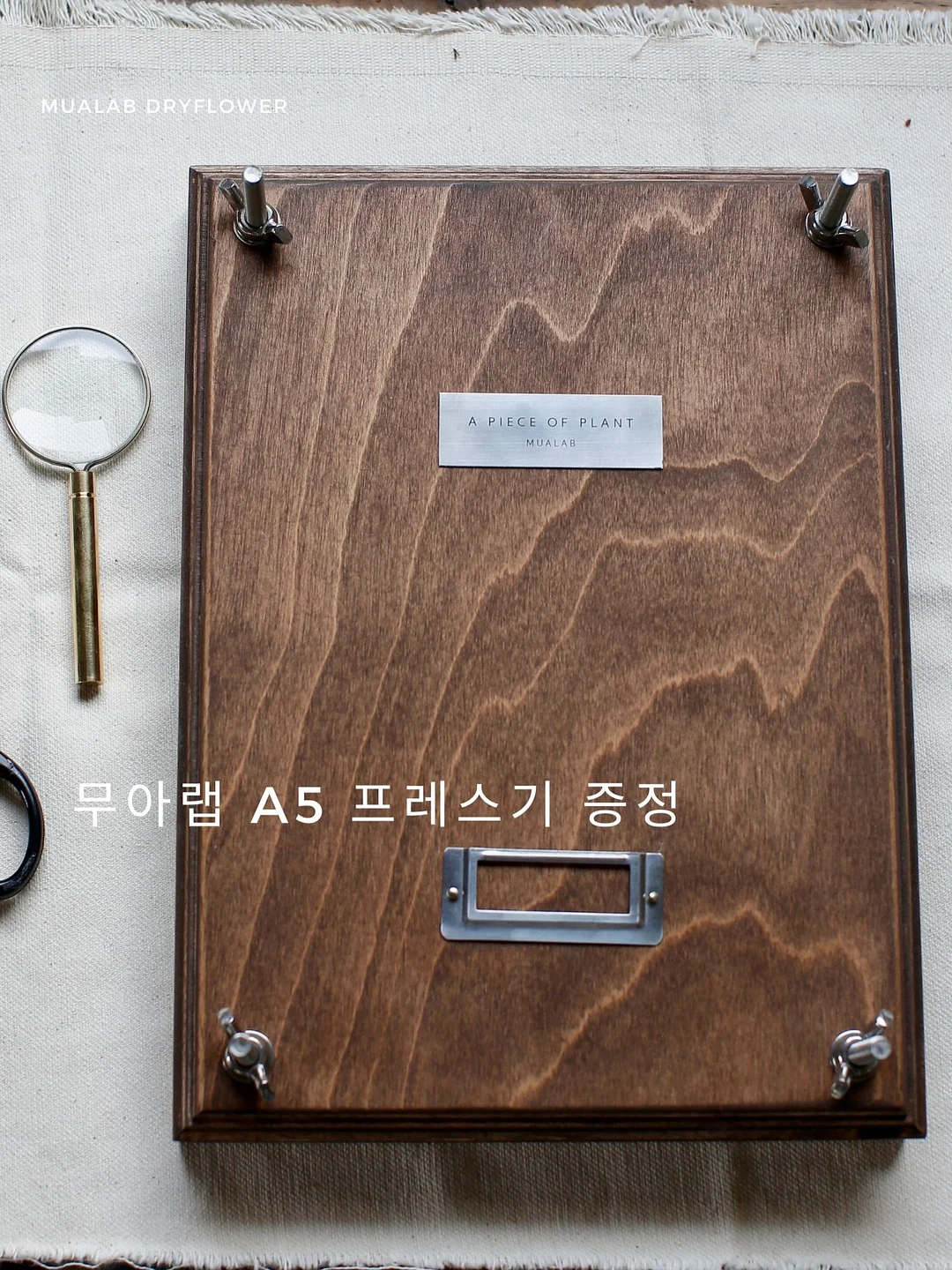초대형 접이식 우산 9