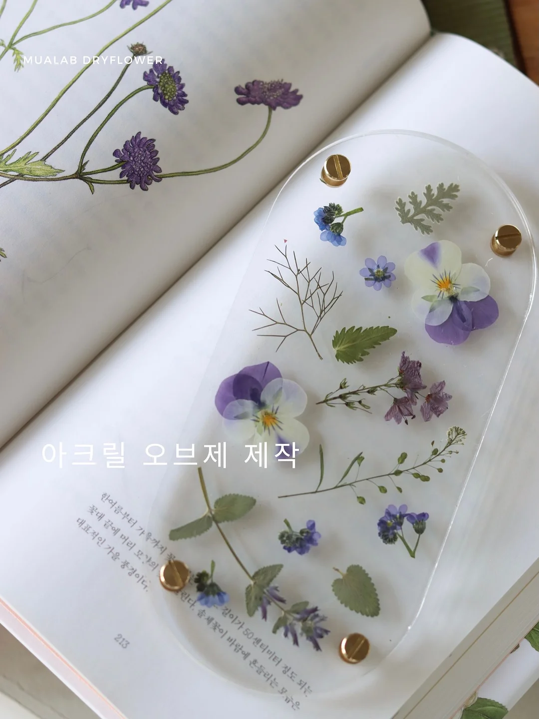 초대형 접이식 우산 10