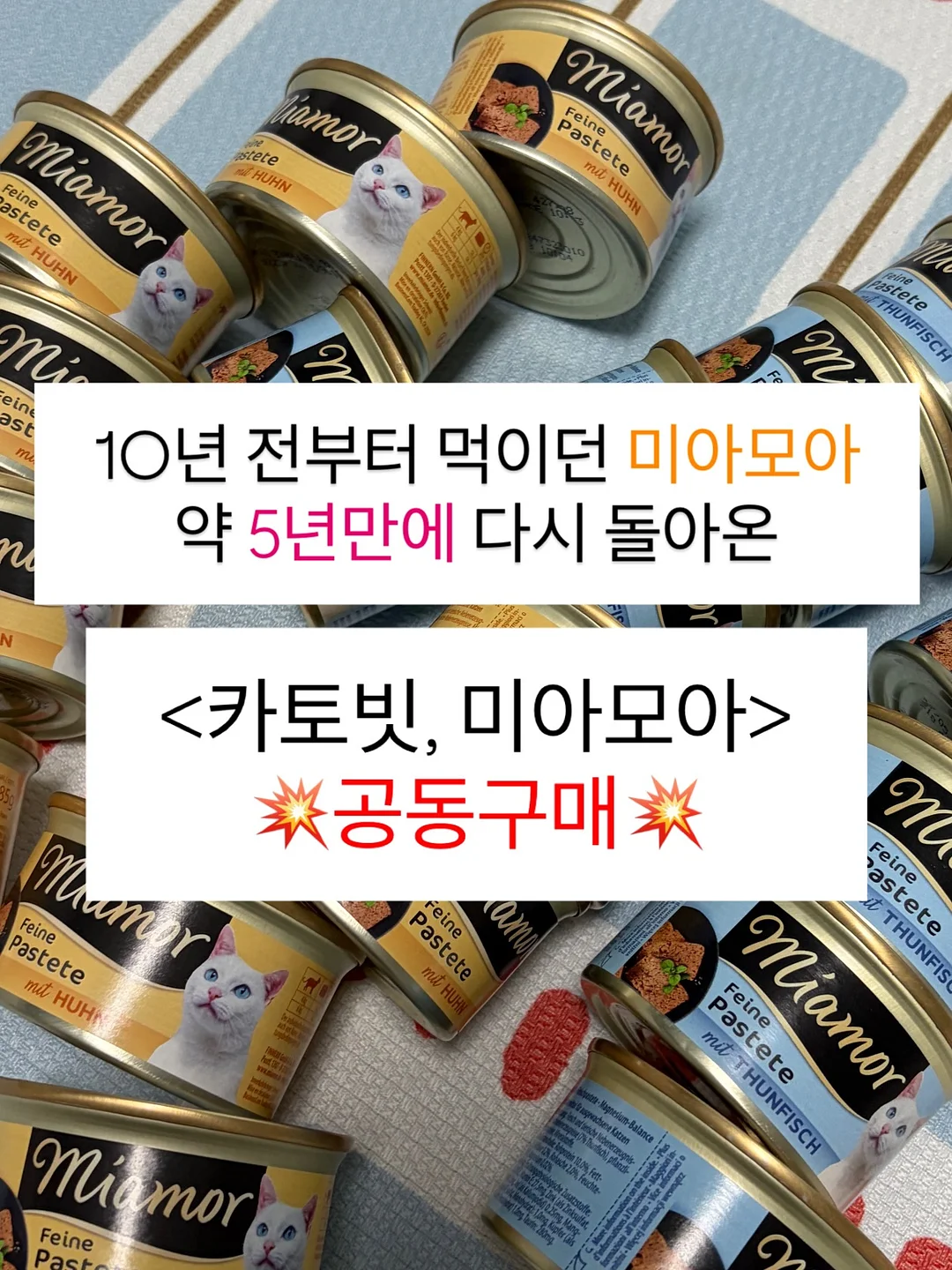 패브릭 아플리케 장식 1