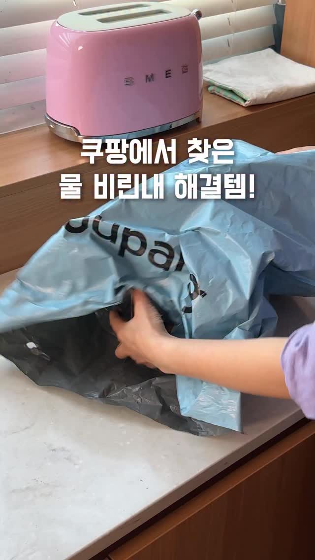 한나 임시보호/입양