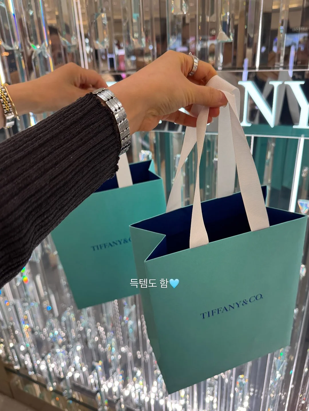동해안 활오징어 12