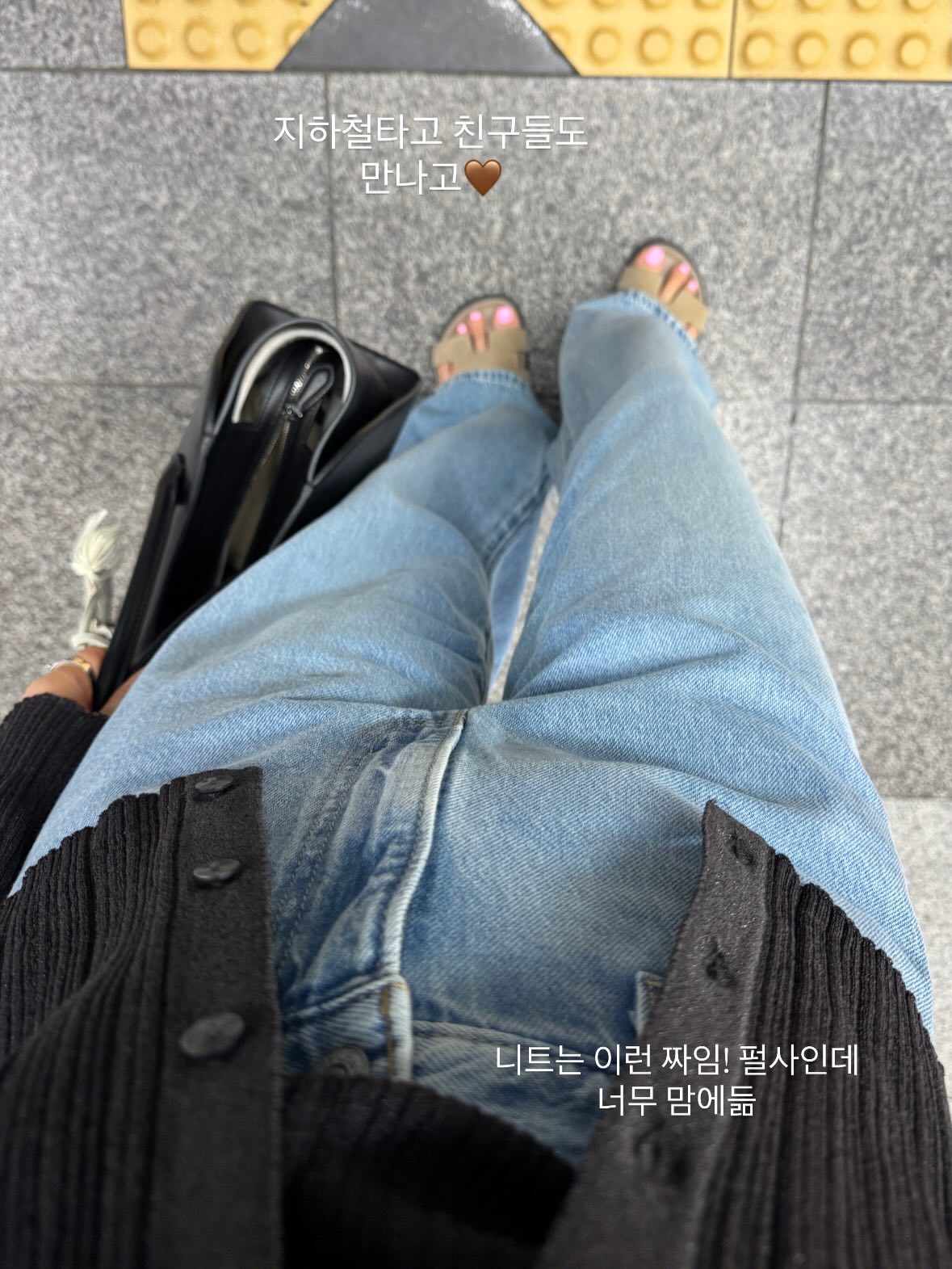 동해안 활오징어 6