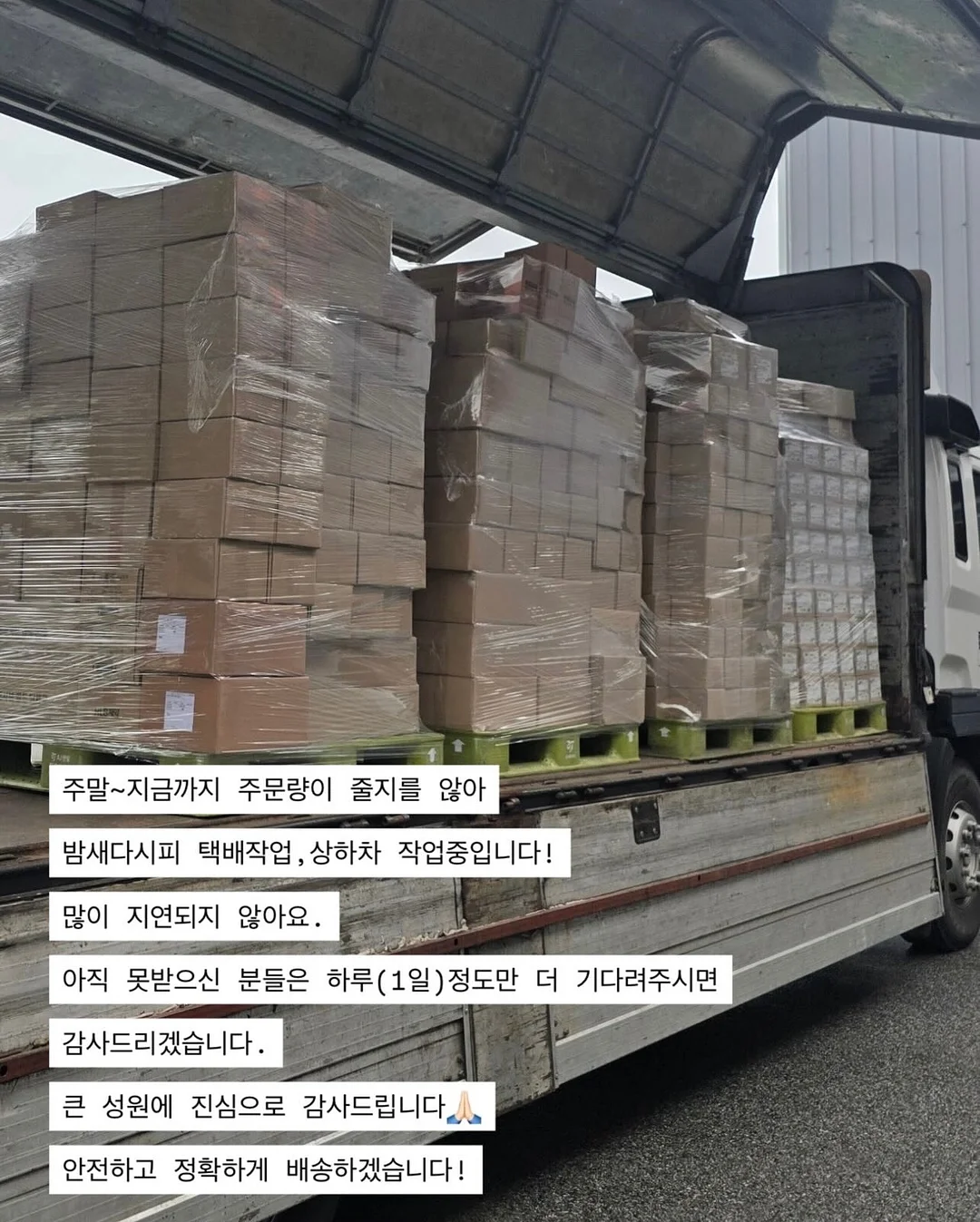 코알라밤 2