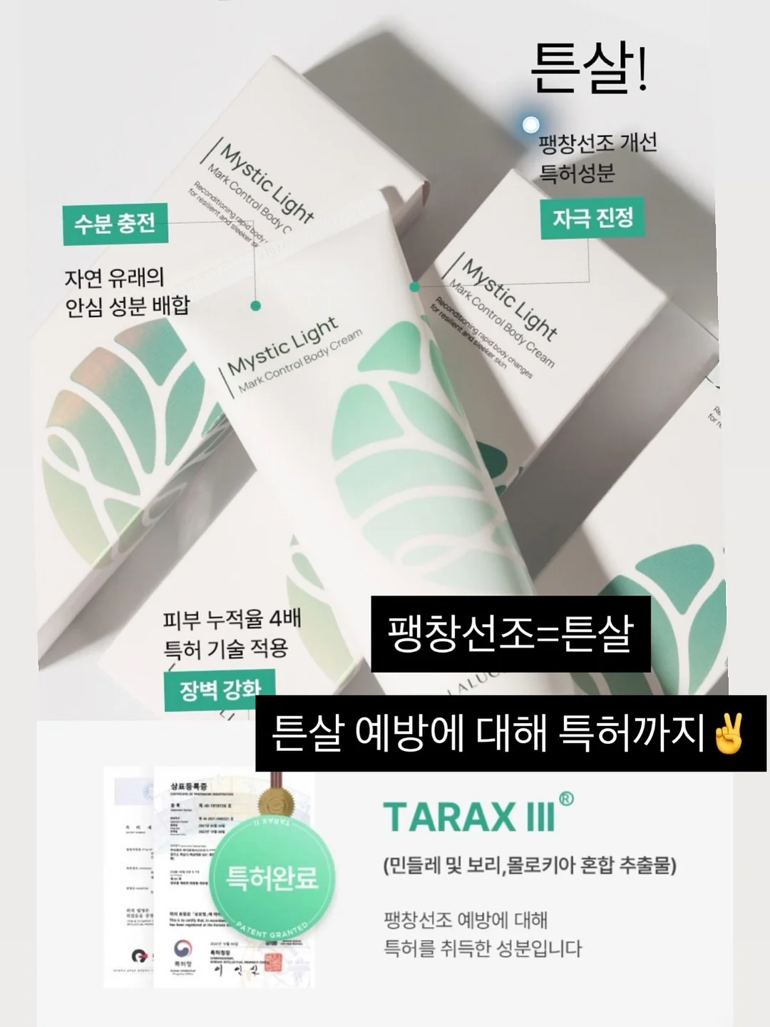 망고케이크 13