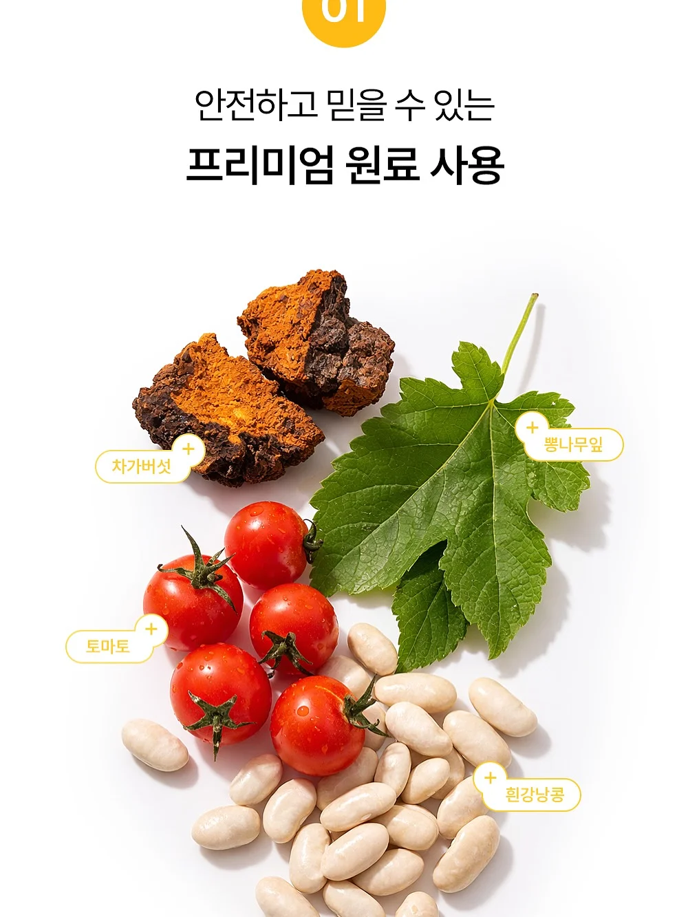 실비아 원피스 5