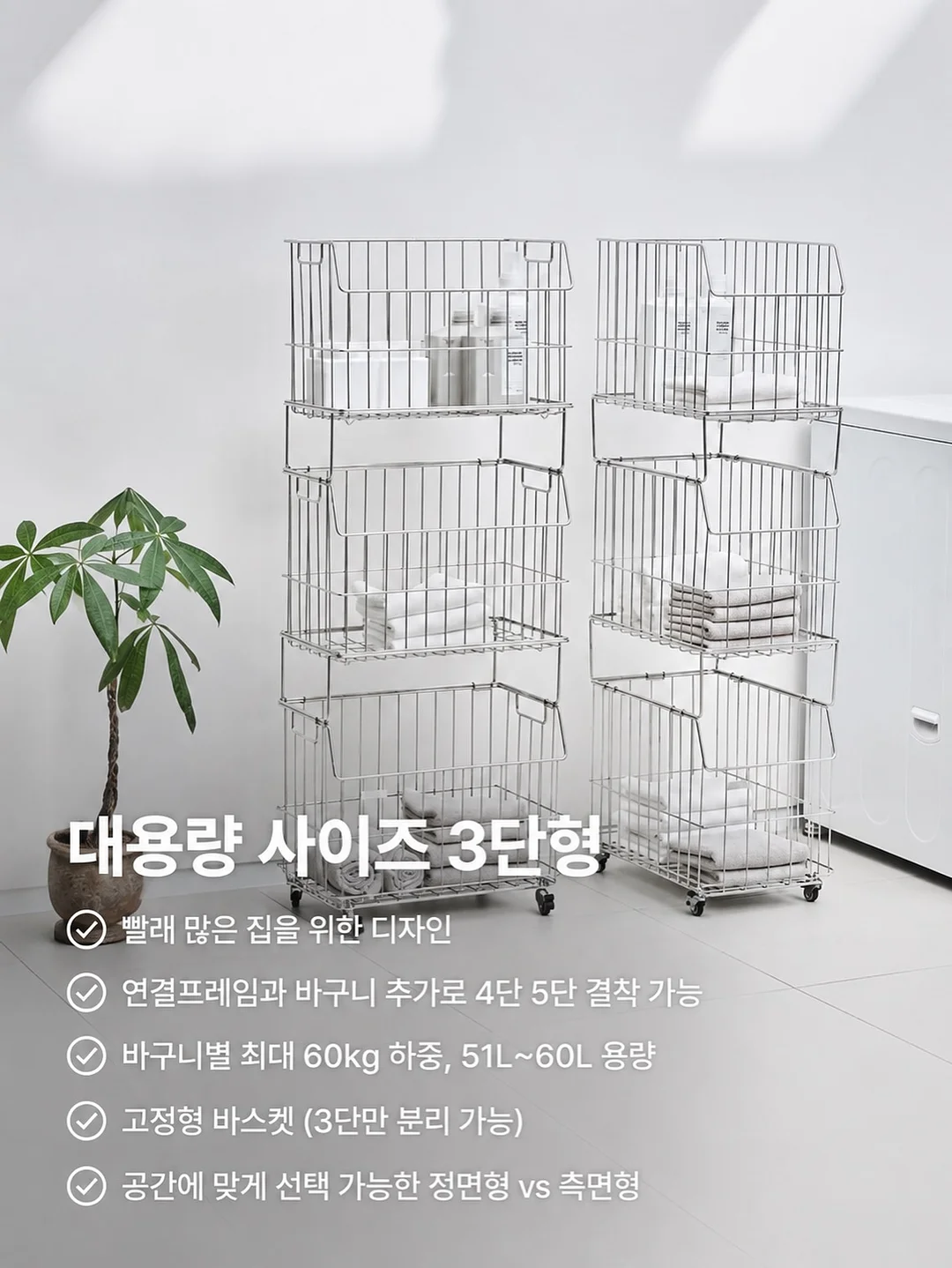 볼라디 효모균 유산균 11