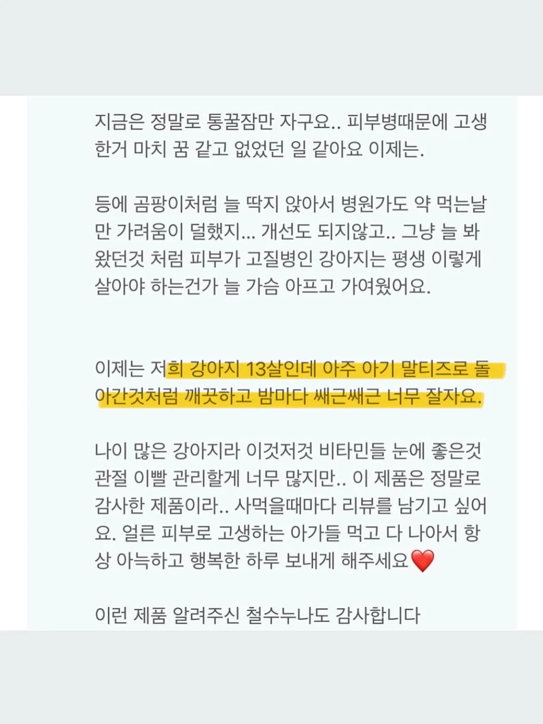 뽀블리 신상 19