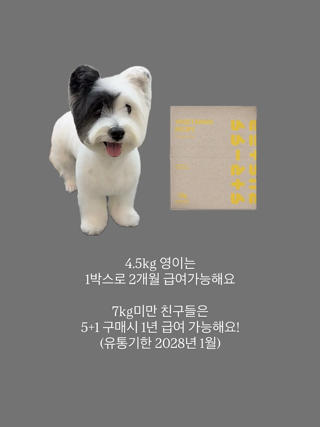뽀블리 신상 4