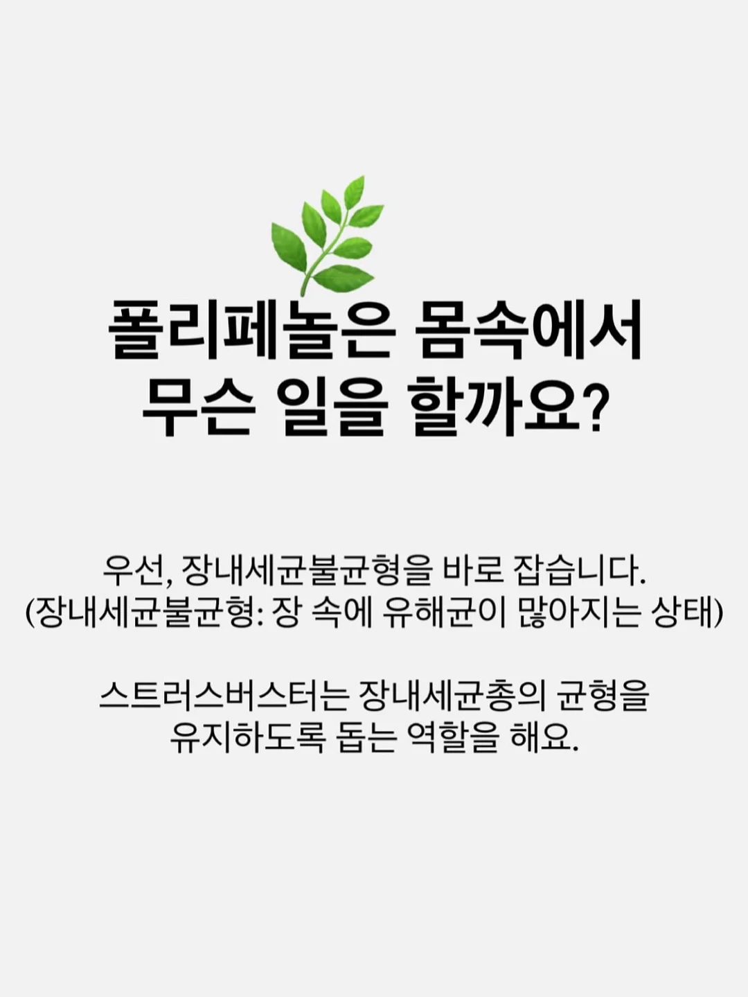 뽀블리 신상 10