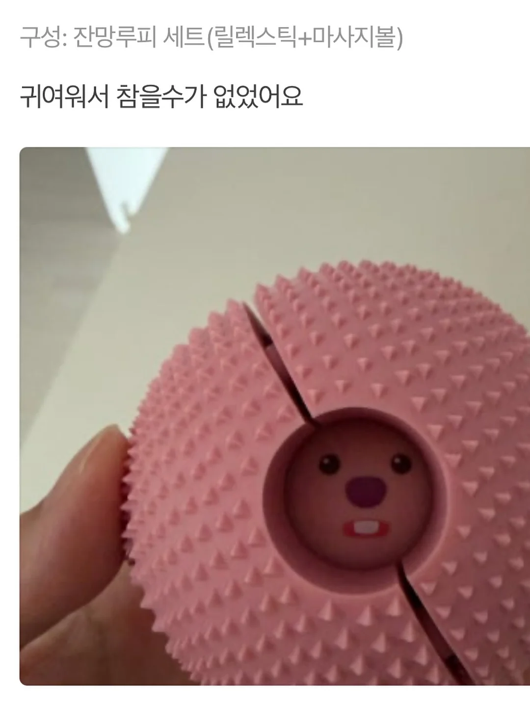 체지방 감소 음료 17