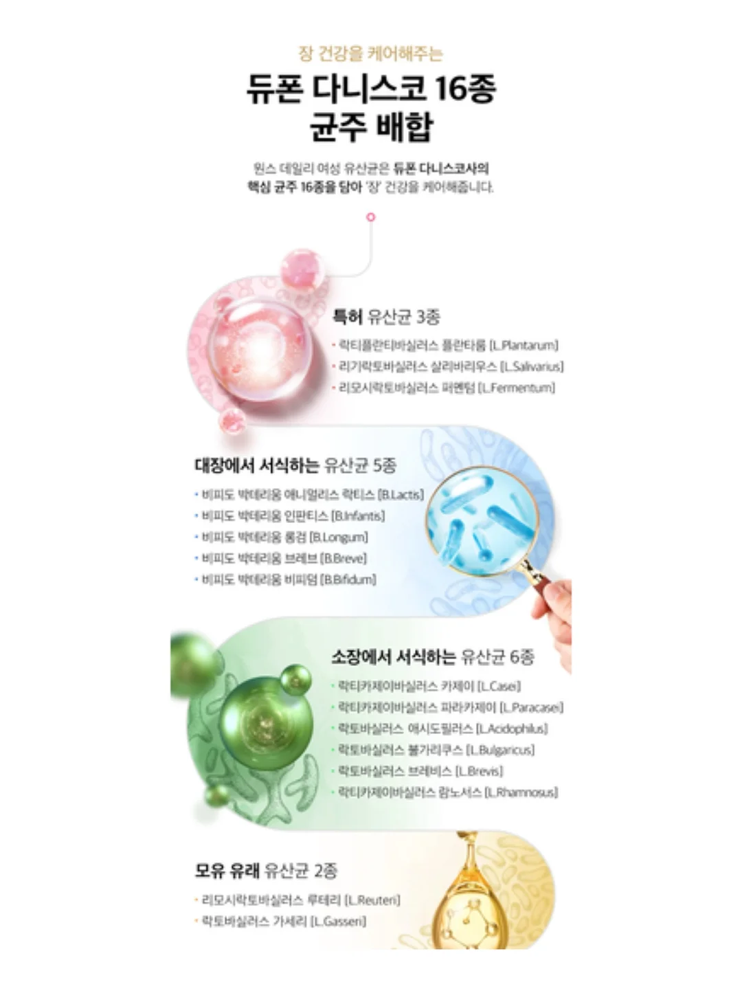 세지리새우멸치 1.5kg 6