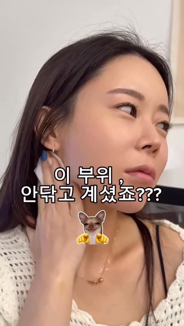 달항아리 호접난화분