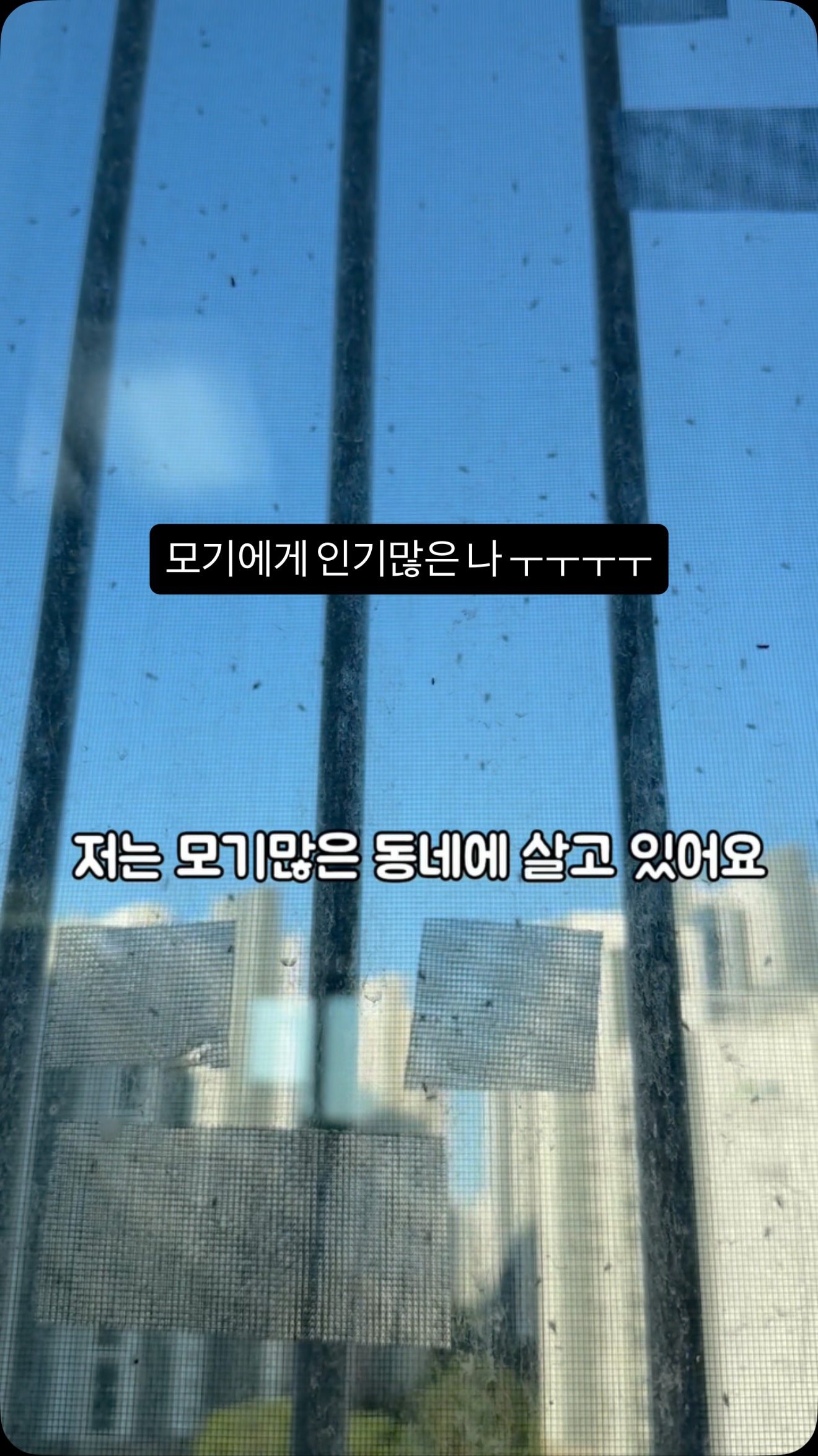 페이즈 플립플랍