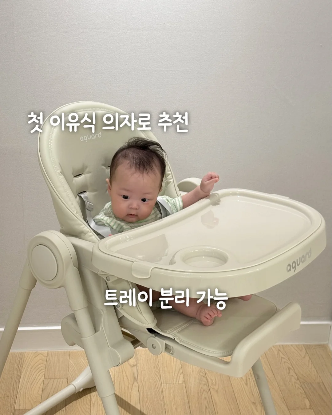 도르티 9