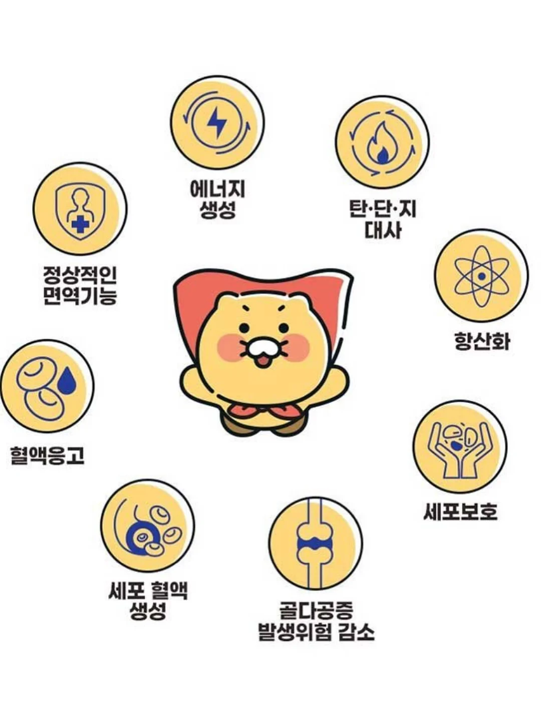 카레 풍미 업그레이드 소스 9